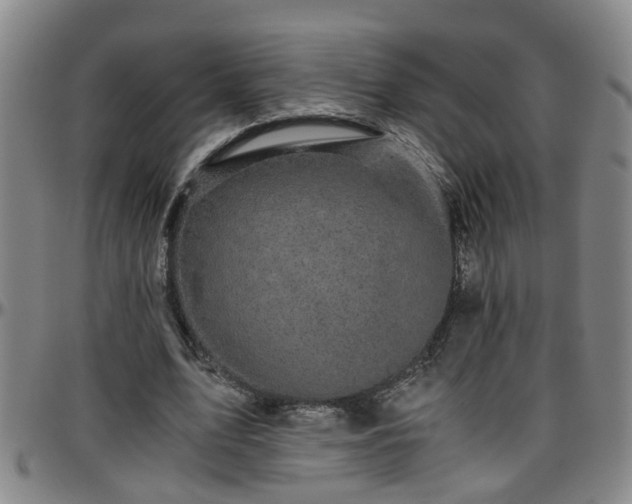 X0000096400583200801311353