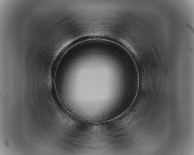 X0000096400584200801311353