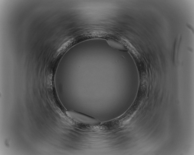 X0000096400585200801311353