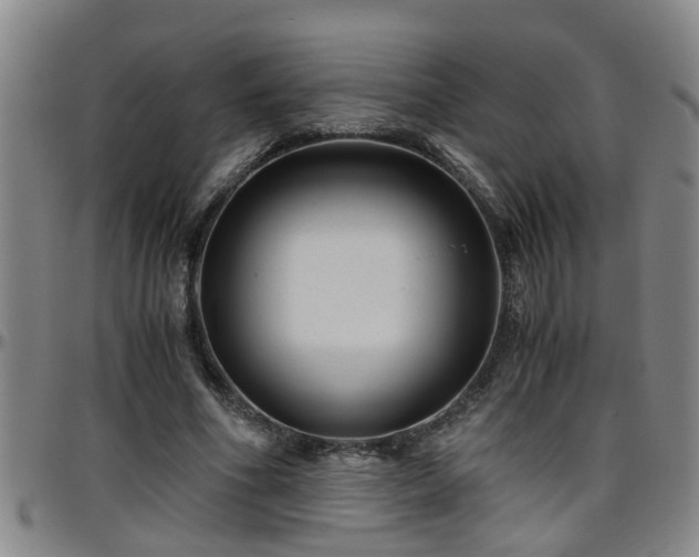 X0000096400586200801311353