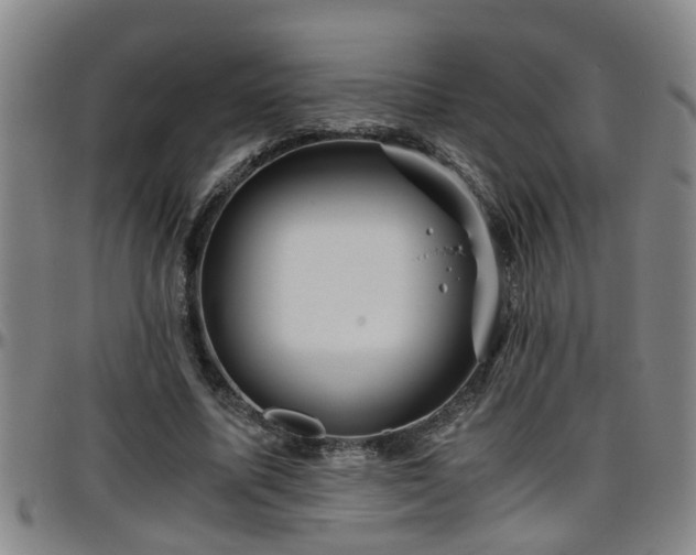 X0000096400587200801311353