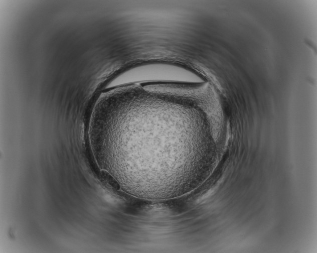 X0000096400589200801311353