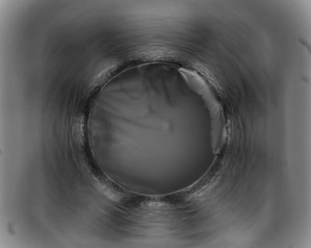 X0000096400590200801311353