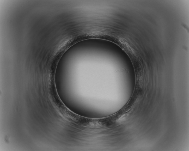 X0000096400591200801311353