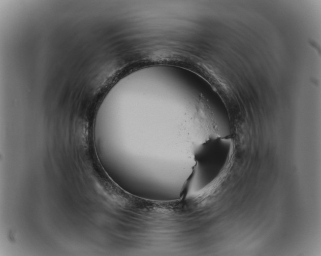 X0000096400592200801311353