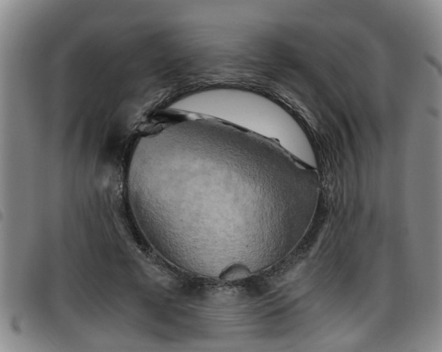 X0000096400593200801311353