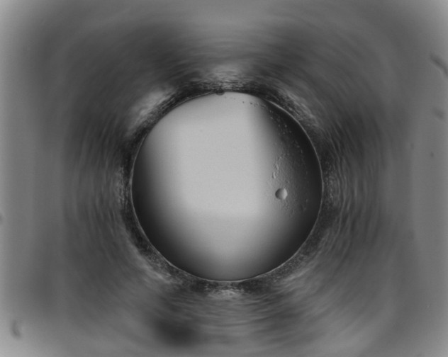 X0000096400594200801311352