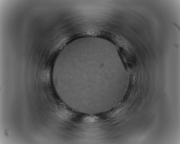 X0000096400595200801311352