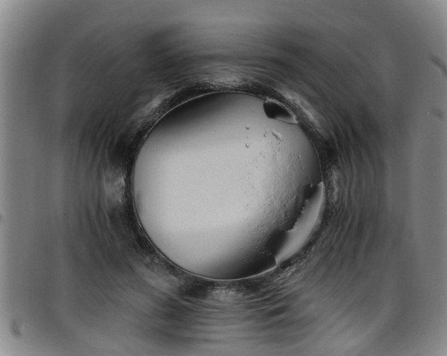 X0000096400596200801311352