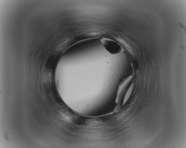 X0000096400597200801311352