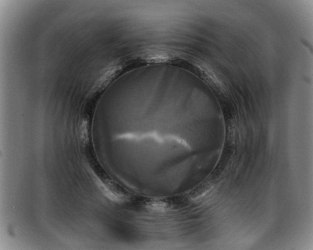 X0000096400598200801311352