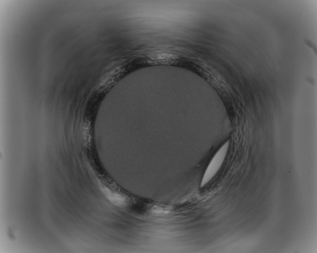 X0000096400599200801311352