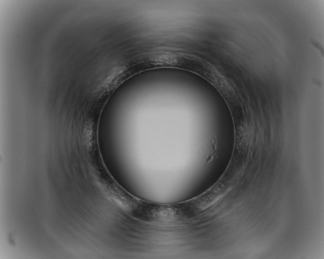 X0000096400600200801311352