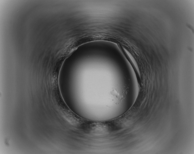 X0000096400601200801311352