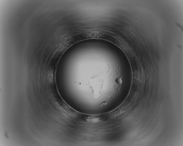 X0000096400602200801311352