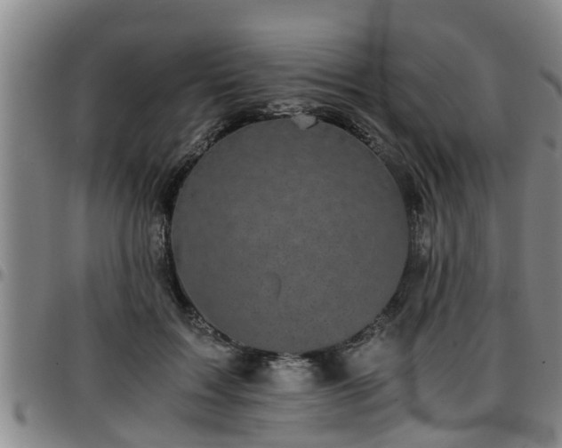 X0000096400603200801311352