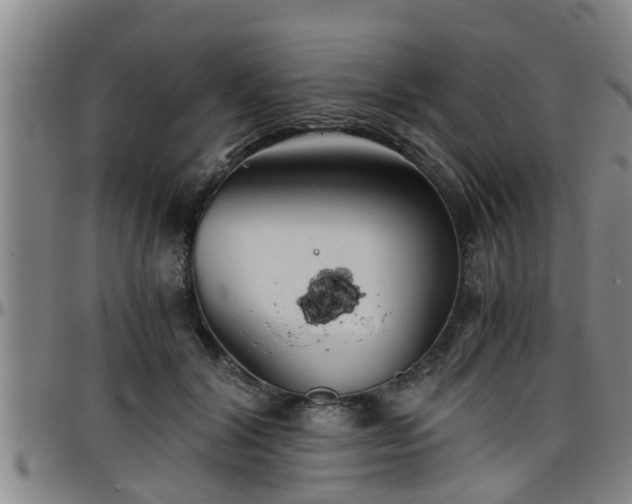 X0000096400604200801311352