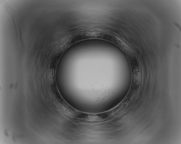 X0000096400605200801311352