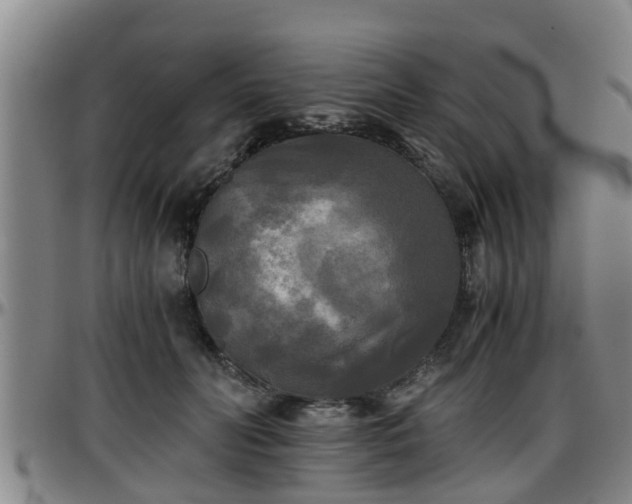 X0000096400606200801311352