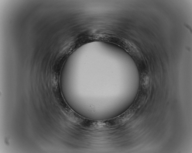 X0000096400607200801311352