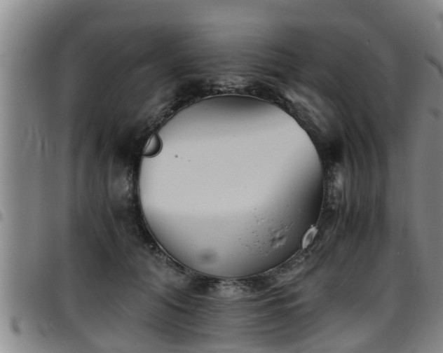 X0000096400608200801311352