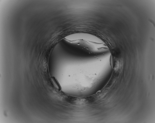 X0000096400609200801311352