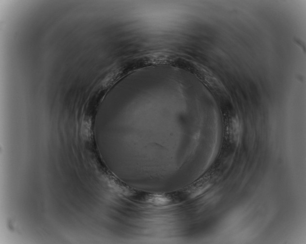 X0000096400610200801311352