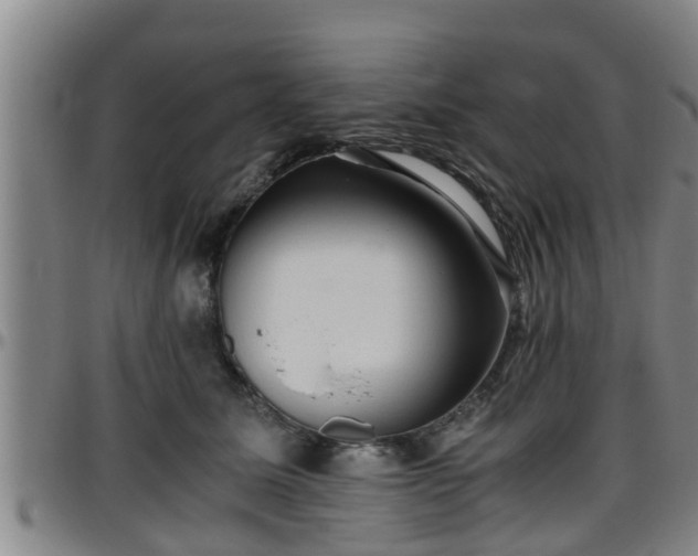 X0000096400611200801311352