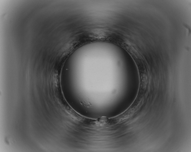 X0000096400612200801311352