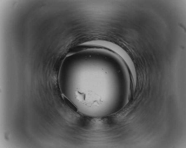 X0000096400613200801311352