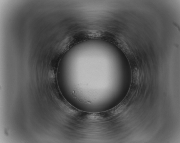 X0000096400614200801311352