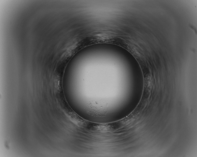 X0000096400615200801311352