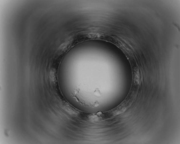 X0000096400616200801311352