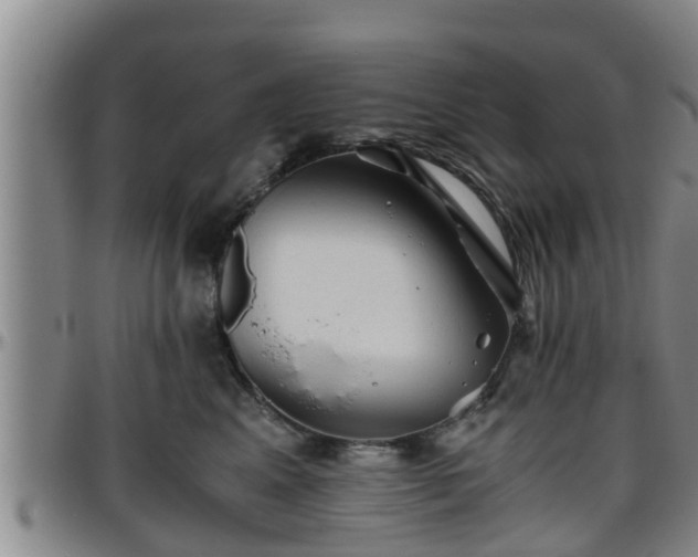 X0000096400617200801311352