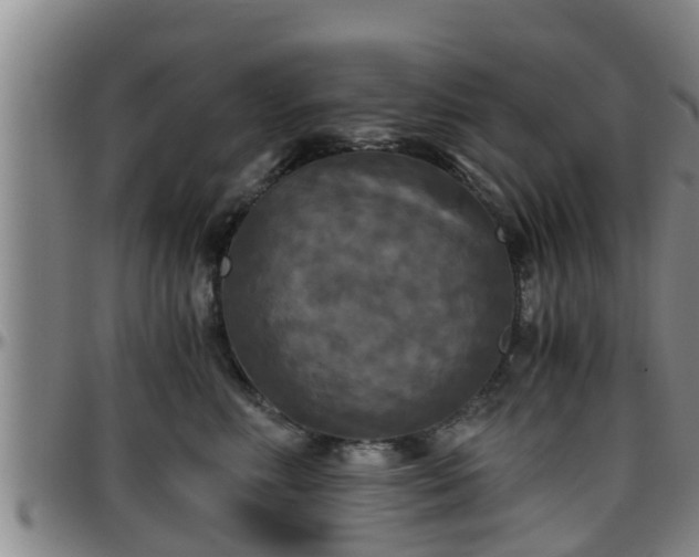 X0000096400618200801311352