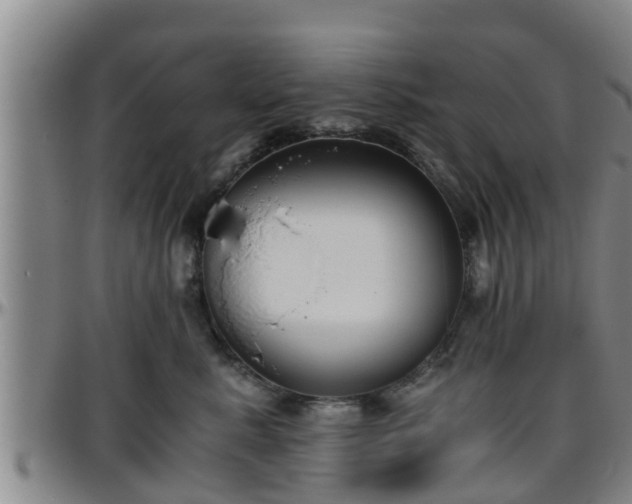 X0000096400619200801311352