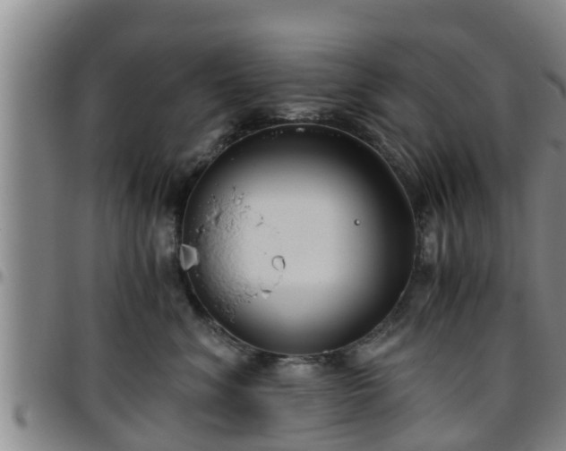 X0000096400620200801311352