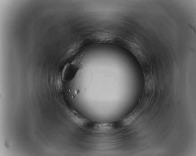 X0000096400622200801311352