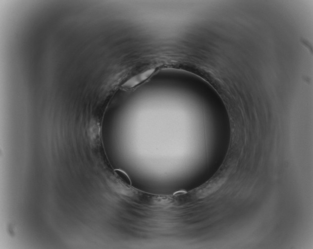 X0000096400624200801311352