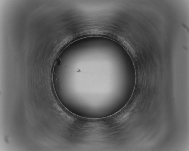 X0000096400625200801311351