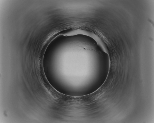 X0000096400626200801311351