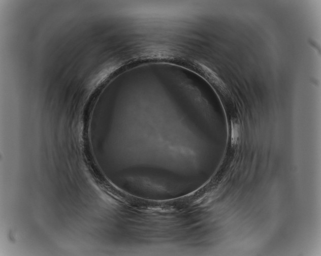 X0000096400627200801311351