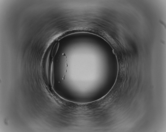 X0000096400628200801311351