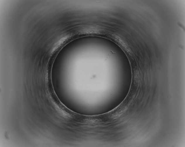 X0000096400629200801311351