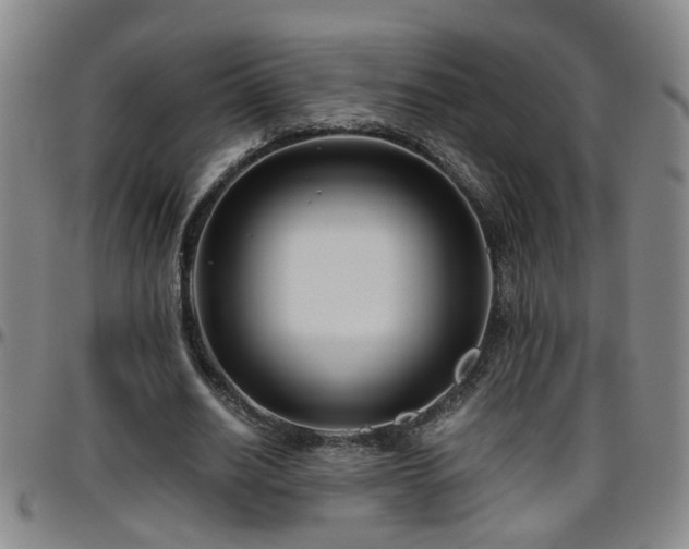 X0000096400630200801311351