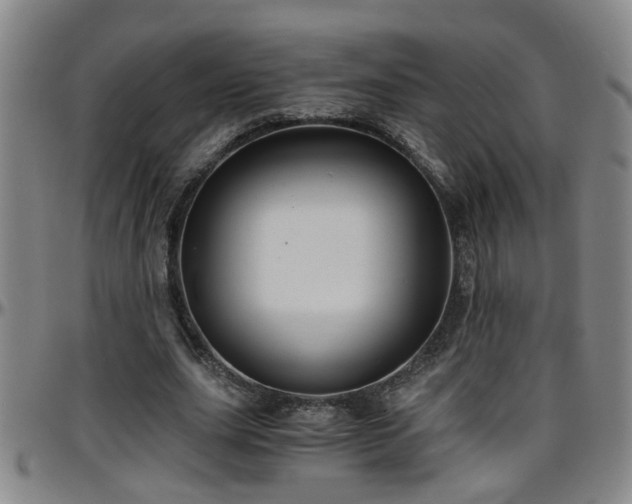 X0000096400631200801311351