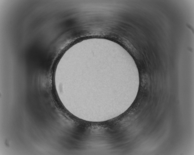 X0000096400632200801311351