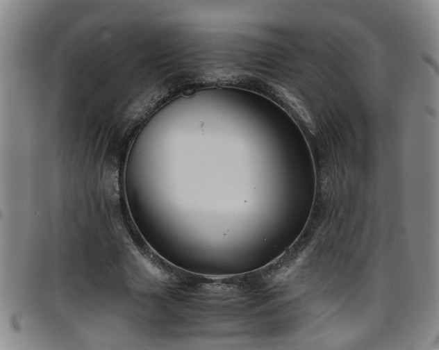 X0000096400633200801311351