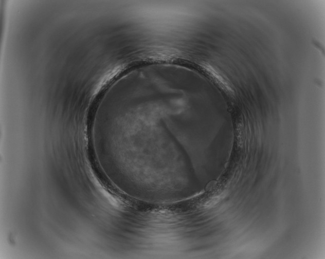 X0000096400634200801311351