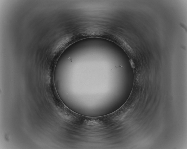 X0000096400635200801311351